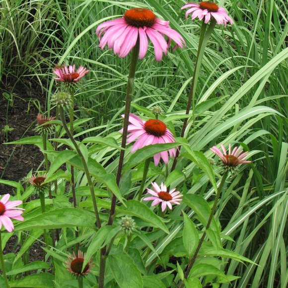 Welcome to Mama Llama's Cozy Closet! - Picture 6 of 15